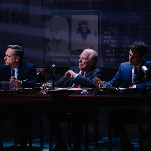 Photos: Brooks Ashmanskas, Andrew McCarthy, and More in ARE YOU NOW OR HAVE YOU EVER  Photo