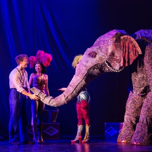 WATER FOR ELEPHANTS National Tour Comes To Zions Bank Broadway At The Eccles