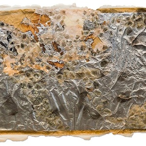 TENDER ALCHEMY: BETH AMES SWARTZ AND JULIANNE SWARTZ Opens At Scottsdale Museum of Co Photo