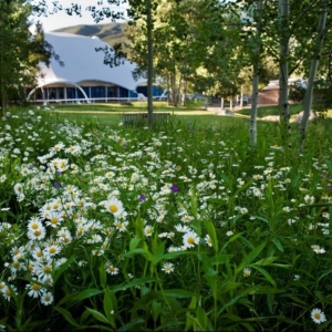 Aspen Music Festival & School Announces 2025 Season: Concerning the Spiritual in Art