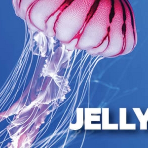 Australian Premiere of JELLYFISH is Now Playing at New Theatre Photo