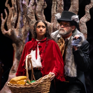 Photos: First Look At INTO THE WOODS At New Jewish Theatre Photo