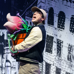 LITTLE SHOP OF HORRORS to Launch 2027 Australian Tour in Melbourne Photo