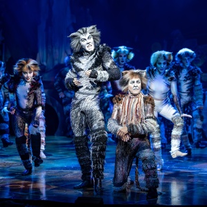 Brisbane Welcomes 40th Anniversary Tour of CATS as Limited Tickets Released Photo