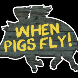 Doc Heide Celebrates 50 Years with Northern Sky With WHEN PIGS FLY!
