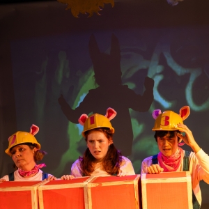 Curio Theatre Company To Present Make/Partake Theatre Version of THE THREE LITTLE PIG Photo