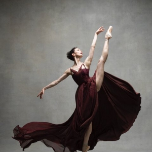 Festival Ballet Theatre To Host 15th Annual GALA OF THE STARS in Orange County 