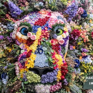 THE LION, THE WITCH, AND THE WARDROBE Cast Come to St Pancras International Photo
