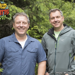 Coral Springs Center for the Arts to Present All New WILD KRATTS LIVE 2.0 Next Year Photo