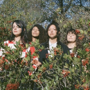 LA LUZ Release New Single 'Poppies' Photo