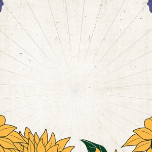 Indigo Girls and Melissa Etheridge Come to the Des Moines Civic Center Photo