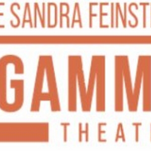 Gamm Theatre Announces New Fellows for Milestone Season Photo