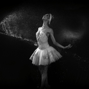 EL LAGO DE LOS CISNES Comes to Teatro Colón Photo