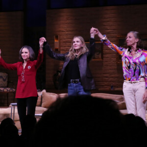 Photos: OTHER DESERT CITIES Cast Takes Opening Night Bows Photo