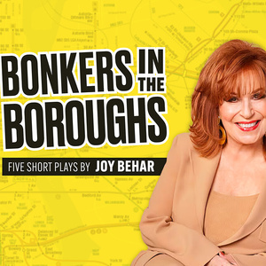 BONKERS IN THE BOROUGHS To Play Bay Street Theater Photo