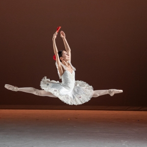 Entre Pasos, Diálogo Entre El Ballet Clásico Y Las Creaciones Recientes