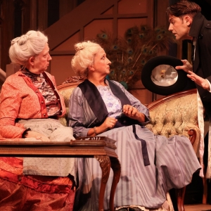 Virginia Stage Company Will Present A Pay-What-You-Choose Performance of ARSENIC & OLD Photo