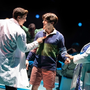 Music Theatre International Acquires Licensing Rights To THE LITTLE BIG THINGS Photo
