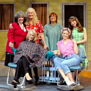 STEEL MAGNOLIAS to Open The Public Theatre's 36th Season Photo