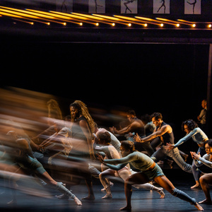 Photos: See New Images of BLACK SWAN World Premiere at A.R.T. Photo