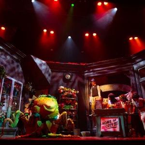 Photos: 5-Star Theatricals' LITTLE SHOP OF HORRORS at Bank of America Performing Arts Center