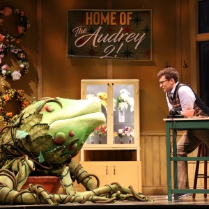 Jake Loewenthal To Play Seymour In Fords Theatres LITTLE SHOP OF HORRORS Photo