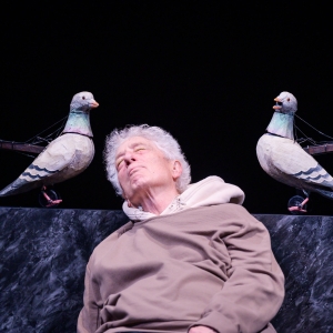 Photos: THE AVES At Berkeley Repertory Theatre Photo