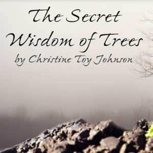 THE SECRET WISDOM OF TREES Available For Licensing From Thirty Saints Productions Photo