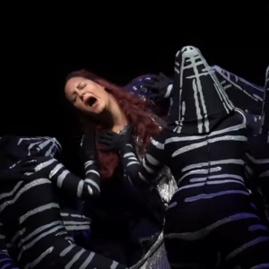 Video: First Look At DIE FRAU OHNE SCHATTEN At Metropolitan Opera