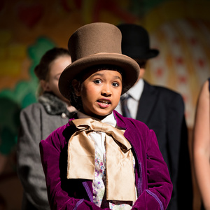 WILLY WONKA JR. Will Be Presented By Playful People Productions Photo