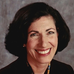 The Shakespeare Theatre Appoints Anisa Mehdi As President Of Board Of Trustees Photo