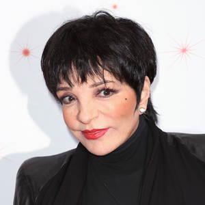 How Liza Minnelli Found a New Audience with ARRESTED DEVELOPMENT Role