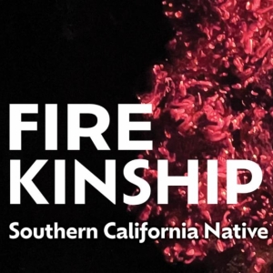 FIRE KINSHIP Exhibition Announced At Fowler Museum This January