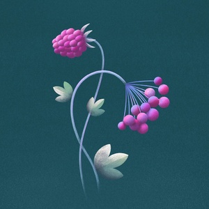 THE SECRET Comes to the National Theatre in Prague Photo