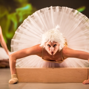 Canadian Premiere of SWAN LAKES + MINUS 16 Comes to Harbourfront Centre Next Month Video