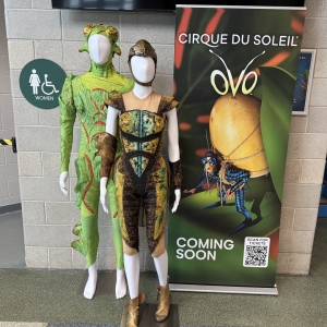 Photos: Cirque Du Soleil OVO Costume Installation On Display At Mohegan Arena At Case