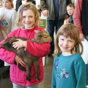 Washington Pavilion To Host Ag Day Community Event Photo