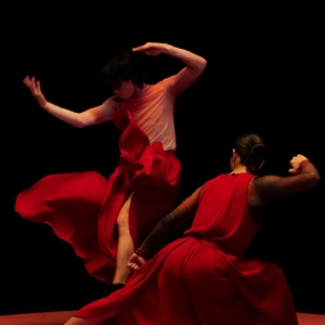 Hong Kong Dance Company and Film Director Chan Kin Long Collaborate on WHERE WE LAND, WHER Photo
