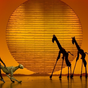 THE LION KING Will Return To Baltimore in 2025 Photo