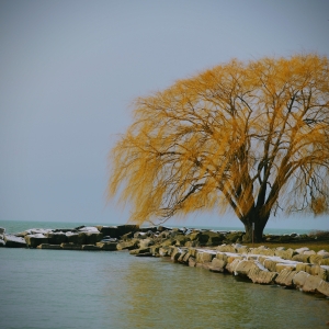 Beck Center For The Arts Hosts Rita Elswick: Photography Exhibition Photo