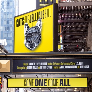 Photos: CATS: THE JELLICLE BALL Arrives at the Broadhurst Theatre