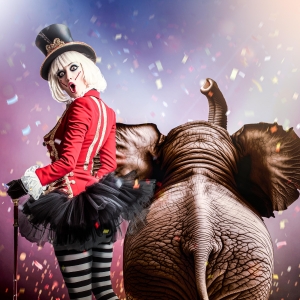 SAWDUST: A Circus Adventure Comes to Adelaide Fringe 2025 Photo