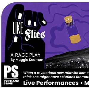 LIKE FLIES: A RAGE PLAY Comes to Portland Stage Photo