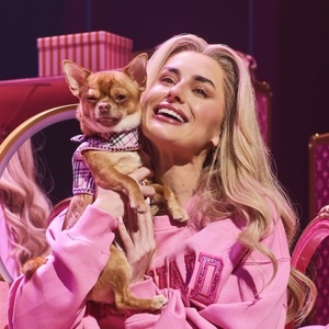 Photos: Amber&nbsp;Davies and More in LEGALLY BLONE UK and Ireland Tour Photo