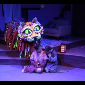 Video: Highlights from WHEN YOU TRAP A TIGER At Stages Theatre Company Photo