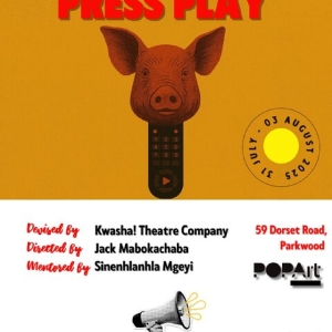 ON A SERIOUS NOTE: PRESS PLAY Premieres at POPArt Theatre Beginning July 31 Photo