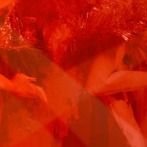 COME FROM AWAY, 42ND STREET, and More Set For Sharon Playhouse 2026 Season Photo