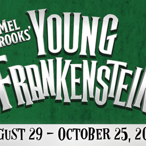 YOUNG FRANKENSTEIN Musical to Open at Way Off Broadway Dinner Theater Photo