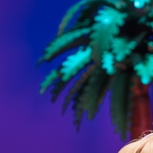 Photos: LEGALLY BLONDE THE MUSICAL Now on UK and Ireland Tour Photo