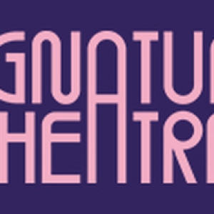 Signature Theatre Announces Cast And Creative Team Of SOFT POWER Interview